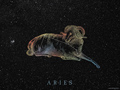 Aries