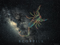 Scorpius