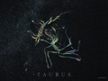 Taurus